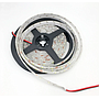 Tira LED SMD2835, DC12V, 5m (60 Led/m) - IP65, Blanco Frío